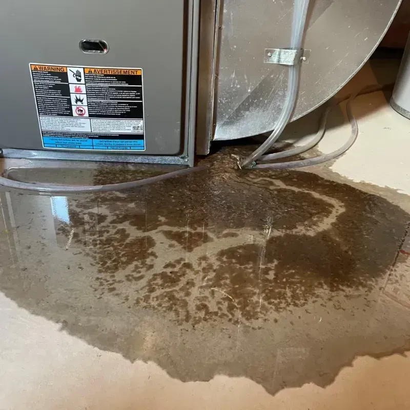 Appliance Leak Cleanup in Mercer County, PA